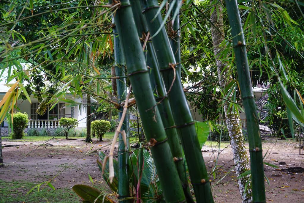 Chalet Bamboo Vert La Digue Luaran gambar