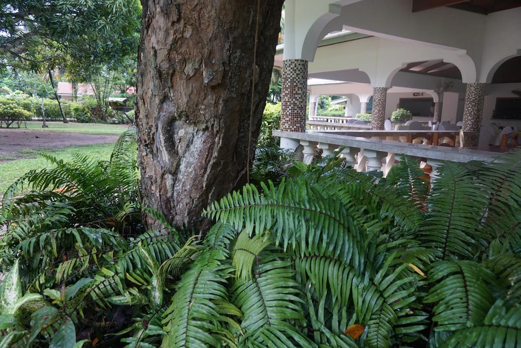 Chalet Bamboo Vert La Digue Luaran gambar